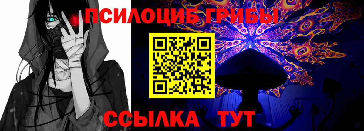 Псилоцибиновые грибы ЛСД  Вход с VPN  Бузулук  Галлюциногенные грибы Psilocybine cubensis 