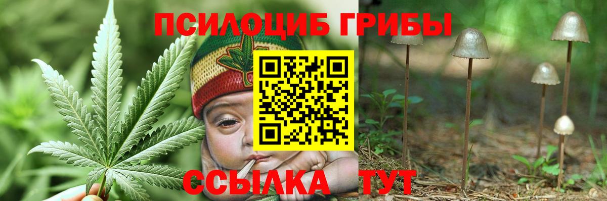 Галлюциногенные грибы мухоморы Бузулук